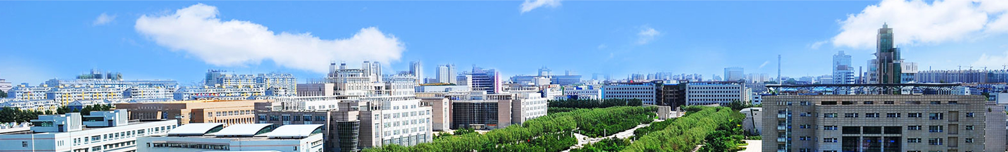 威廉希尔官网